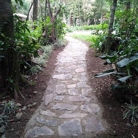 Cabanas La Montana Mountain Lodge Monteverde Zewnętrze zdjęcie