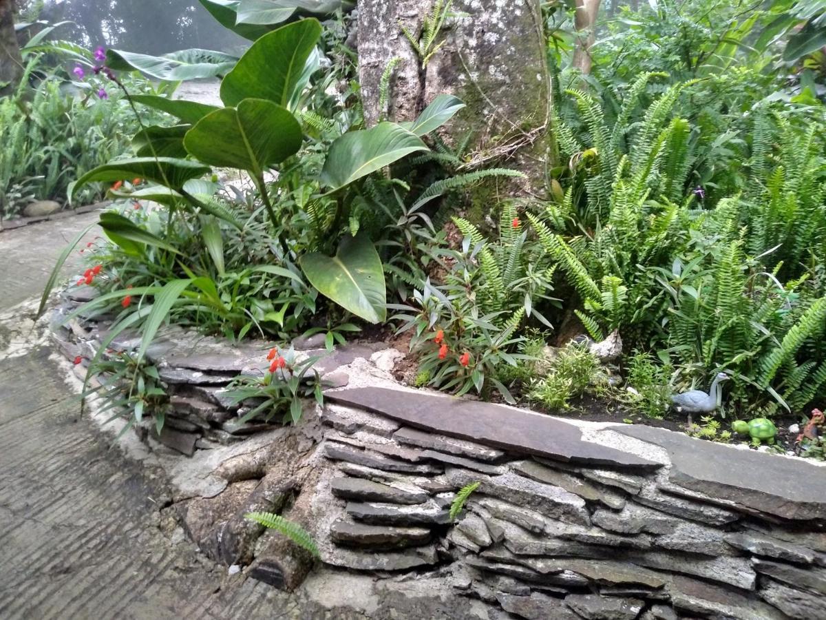 Cabanas La Montana Mountain Lodge Monteverde Zewnętrze zdjęcie