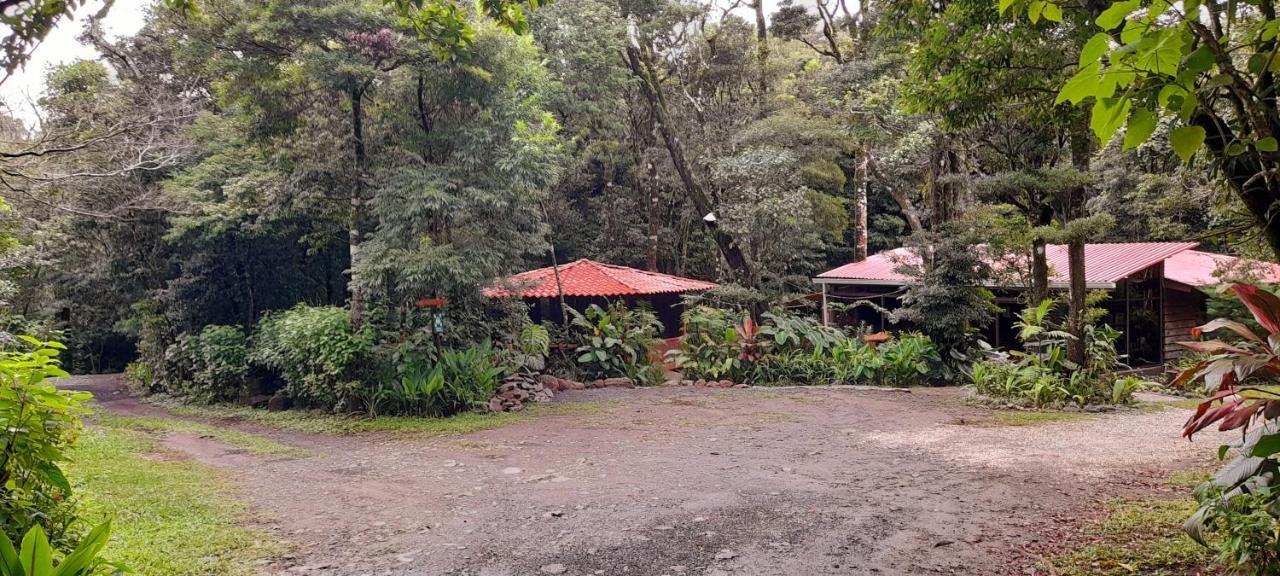 Cabanas La Montana Mountain Lodge Monteverde Zewnętrze zdjęcie