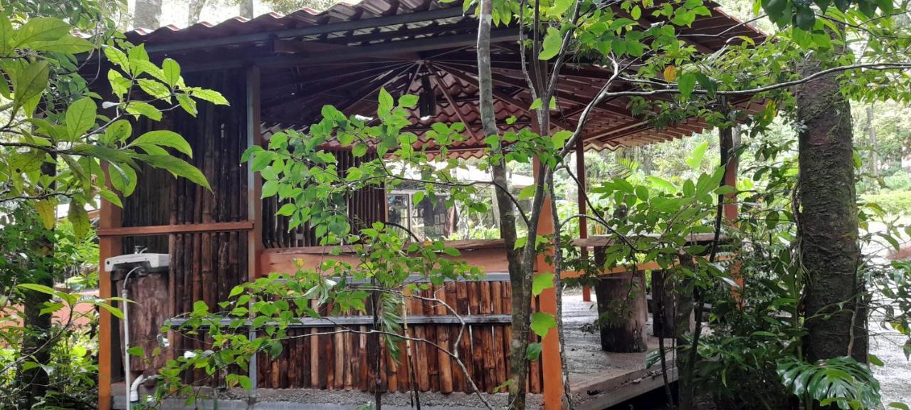 Cabanas La Montana Mountain Lodge Monteverde Zewnętrze zdjęcie