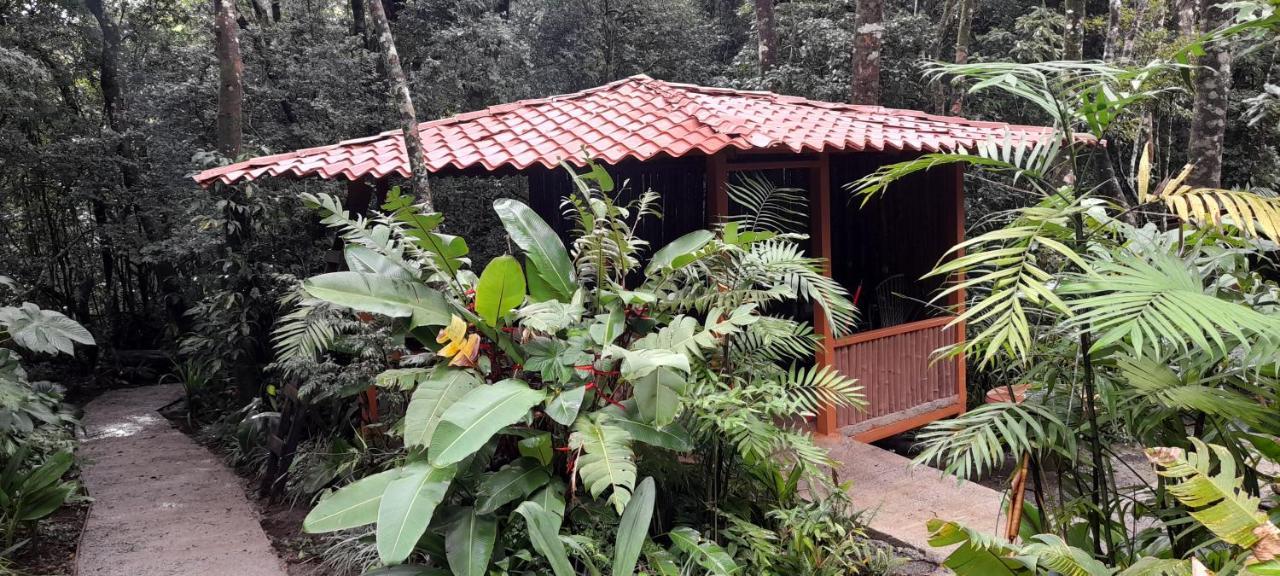 Cabanas La Montana Mountain Lodge Monteverde Zewnętrze zdjęcie