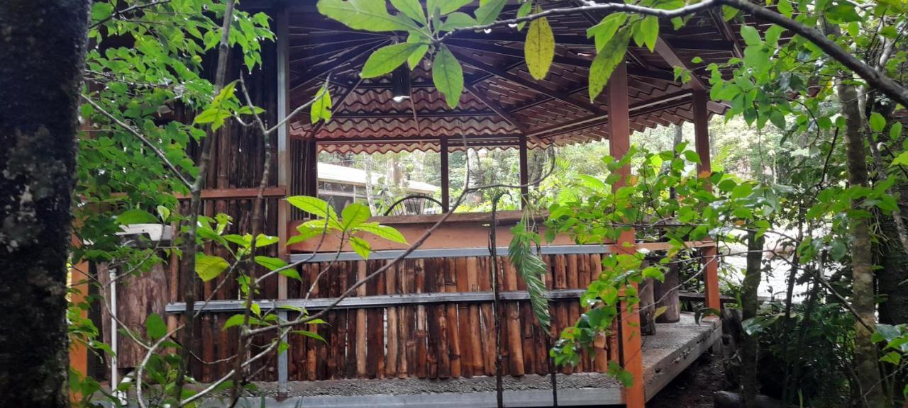 Cabanas La Montana Mountain Lodge Monteverde Zewnętrze zdjęcie