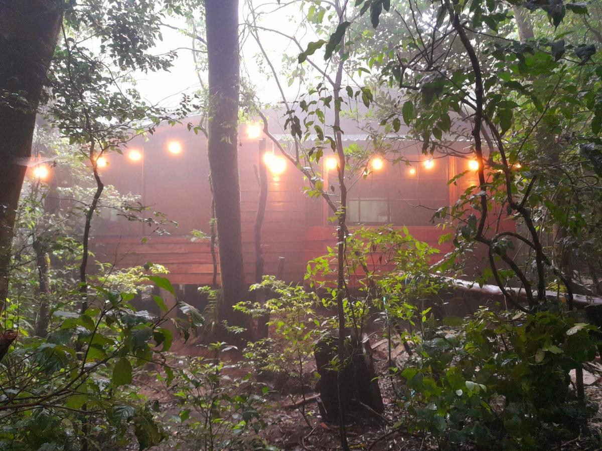 Cabanas La Montana Mountain Lodge Monteverde Zewnętrze zdjęcie