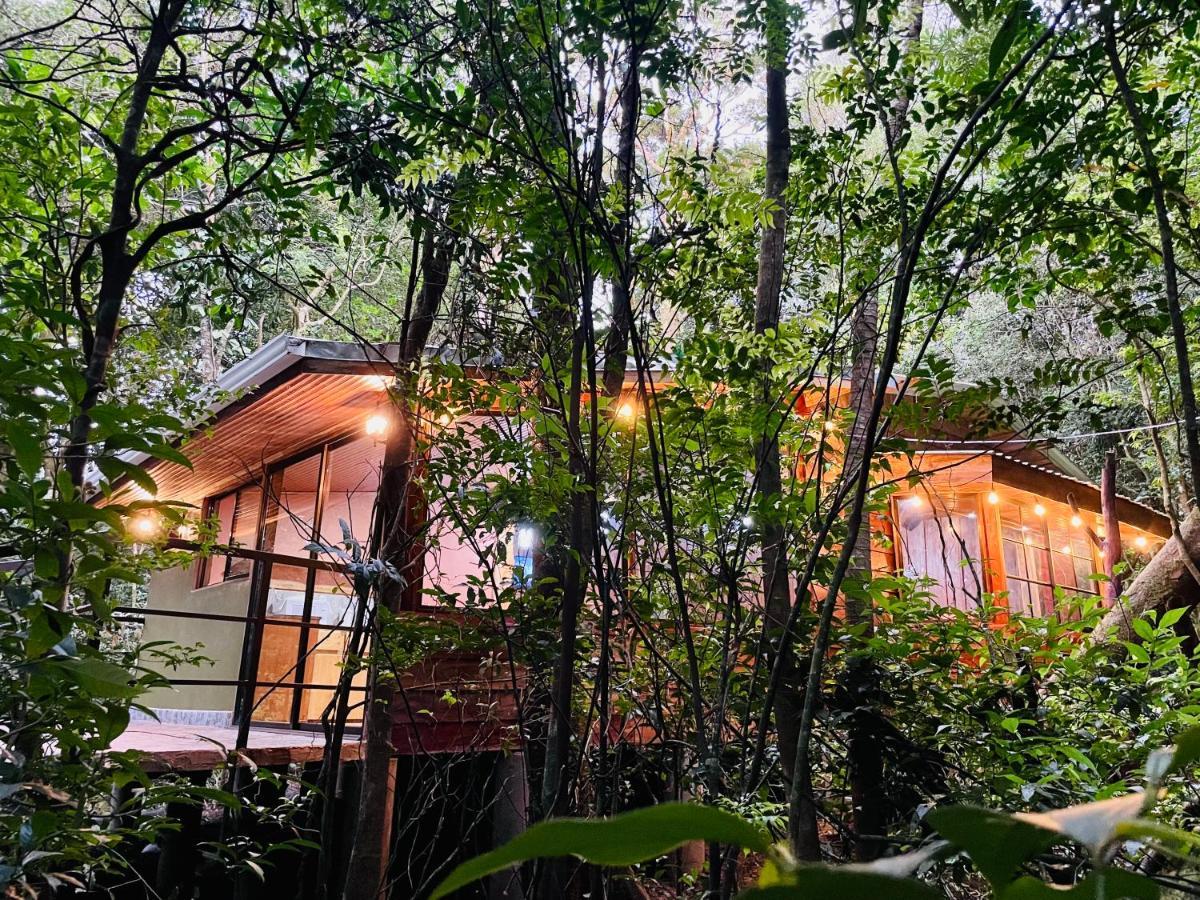 Cabanas La Montana Mountain Lodge Monteverde Zewnętrze zdjęcie