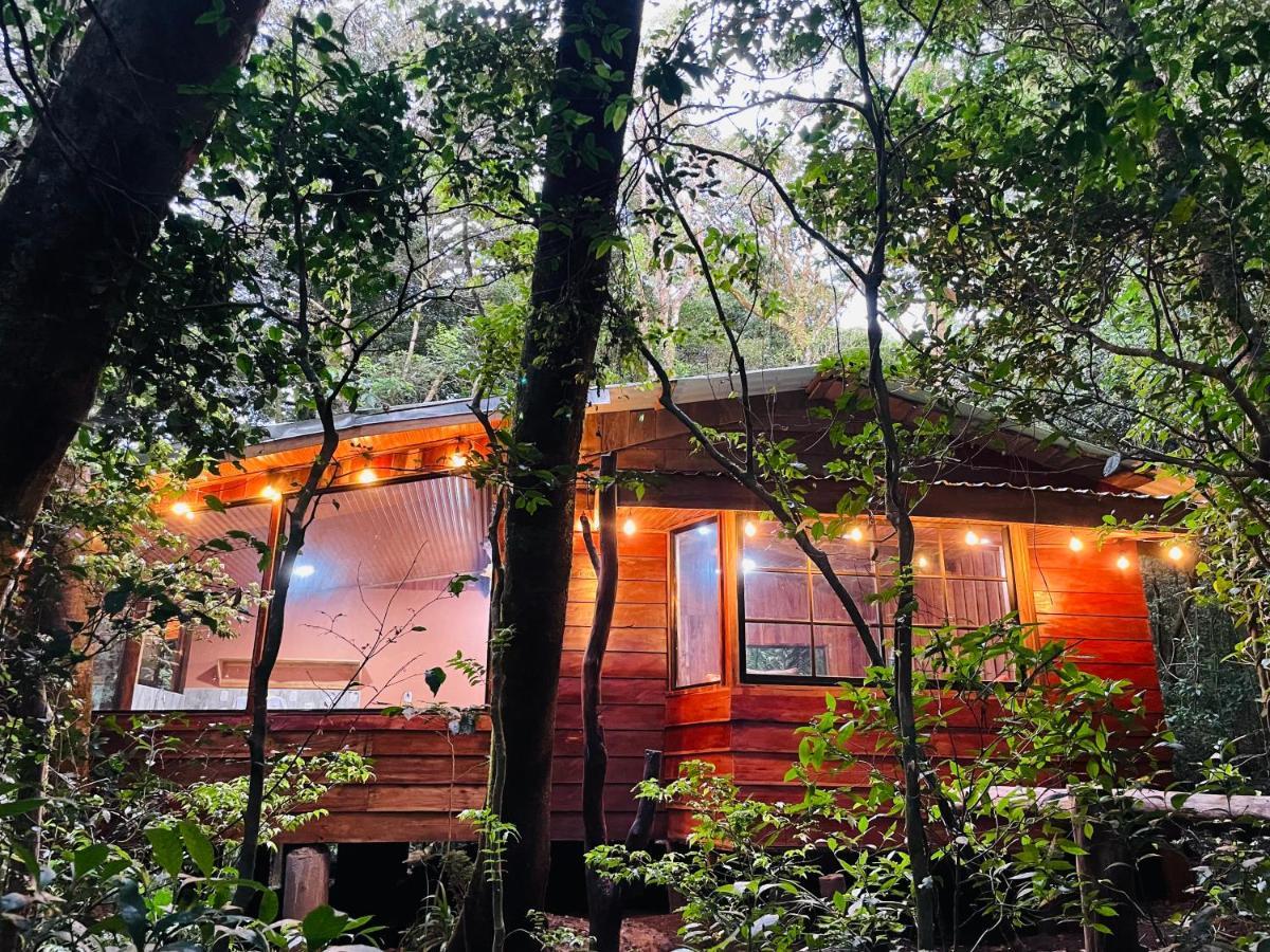 Cabanas La Montana Mountain Lodge Monteverde Zewnętrze zdjęcie