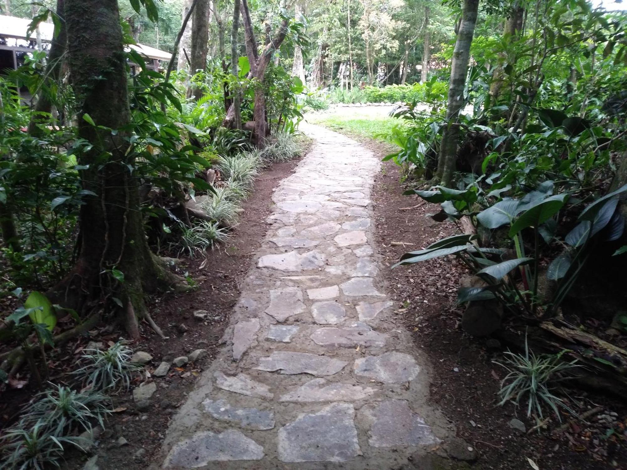 Cabanas La Montana Mountain Lodge Monteverde Zewnętrze zdjęcie